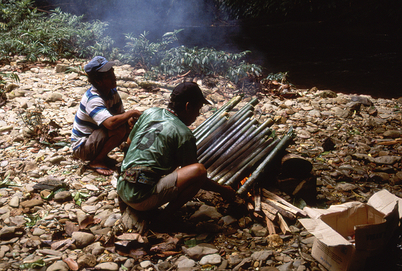 758_rijst koken in de jungle.jpg